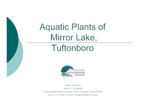 CoverAquatic Plants of Mirror Lake2014